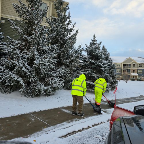 1fb5fae2-dfa1-4a41-830d-5e2461c4d261