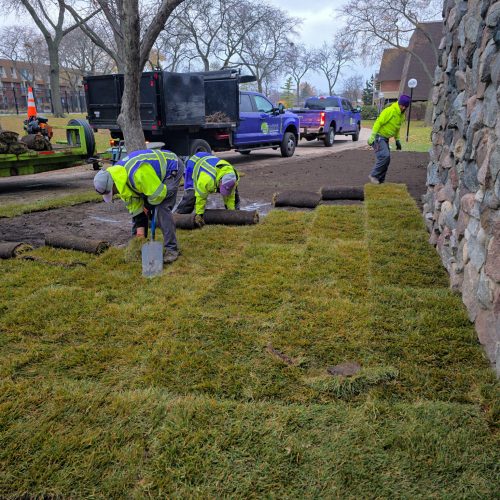 3263093560678352277-2