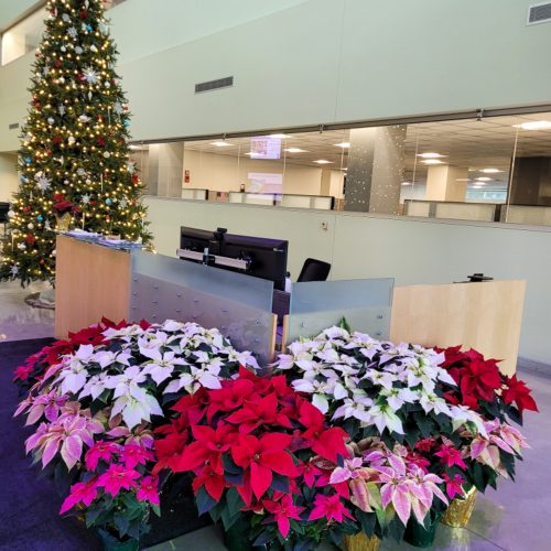 Resized_20251205_153019